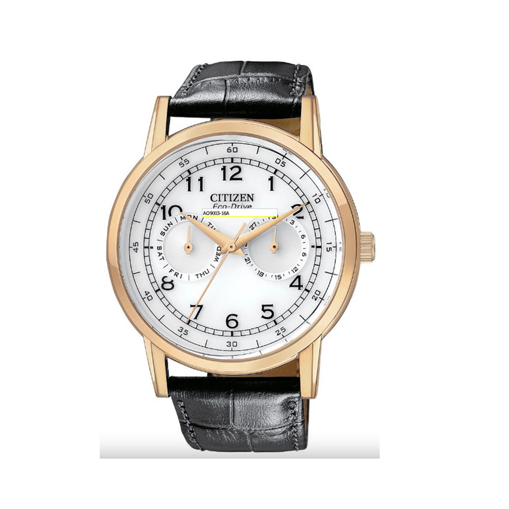 RELOJ CITIZEN AO9003-16A HOMBRE