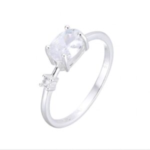 ANILLO DE CIRCONES